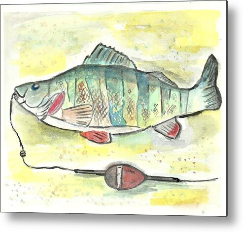 Minnesota Metal Print featuring the painting Yellow Perch #1 by Matt Gaudian