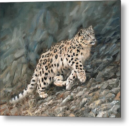 Snow Leopard Metal Print featuring the painting Snow Leopard #10 by David Stribbling