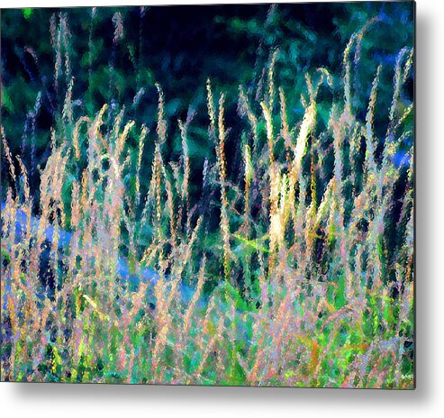 Grass Metal Print featuring the photograph 111 by Timothy Bulone