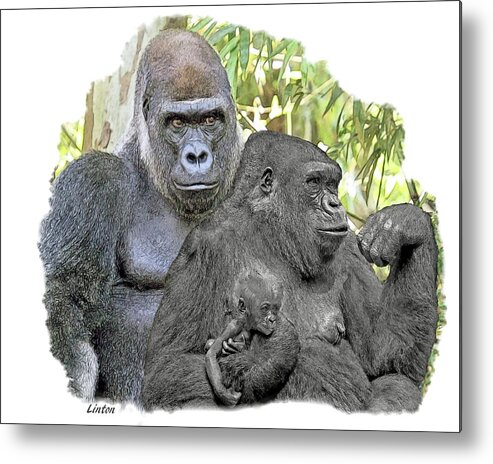 Gorilla Metal Print featuring the digital art Family Portrait #2 by Larry Linton