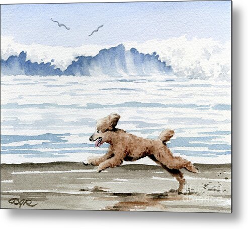 Poodle Metal Print featuring the painting Poodle at the Beach #1 by David Rogers
