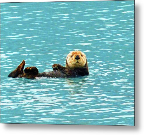 Sea Otter Metal Print featuring the photograph Sea Otter by Carl Sheffer