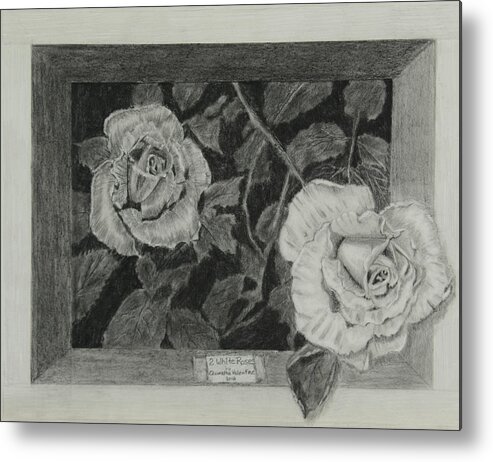 Rose Metal Print featuring the drawing 2 White Roses by Quwatha Valentine