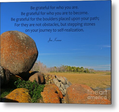 Gratitude Quotes Metal Print featuring the photograph 20- Be Grateful by Joseph Keane