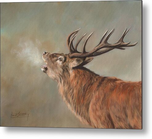 Red Deer Metal Print featuring the painting Red Deer Stag #3 by David Stribbling
