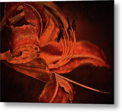 Texture Metal Print featuring the photograph Texture Flowers #38 by Prince Andre Faubert
