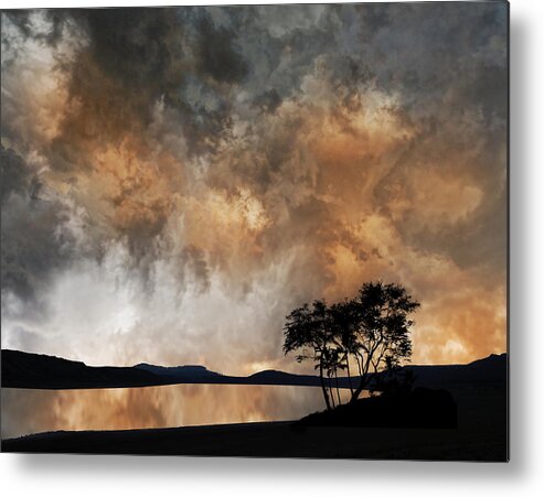 Trees Metal Print featuring the photograph 4056 by Peter Holme III