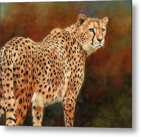 Cheetah Metal Print featuring the painting Cheetah #9 by David Stribbling