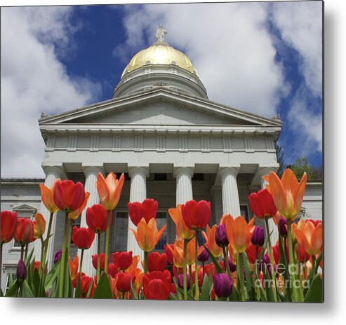 Tulips Metal Print featuring the photograph A Capitol Day by Alice Mainville