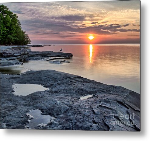 Flat Rock Metal Print featuring the photograph A Flat Rock Sunset with Seagull by Rod Best