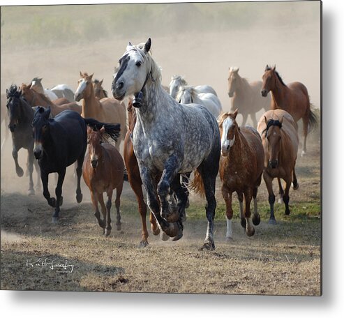 Horse Metal Print featuring the photograph A Horse Of A Different Color by Keith Lovejoy