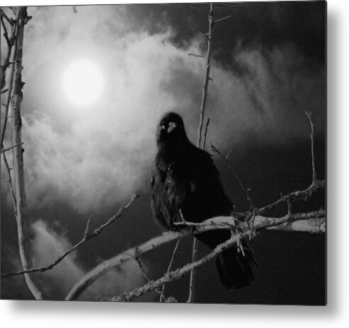 Moon Crow Metal Print featuring the mixed media A Moonlicht Nicht by I'ina Van Lawick