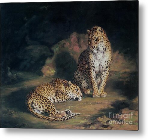 Pair Metal Print featuring the painting A Pair of Leopards by William Huggins