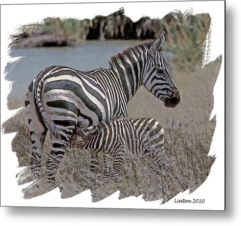 Common Zebra Metal Print featuring the digital art African Oasis by Larry Linton