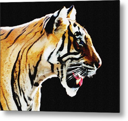 Tiger Metal Print featuring the photograph Always Alert - Tiger by Manjot Singh Sachdeva