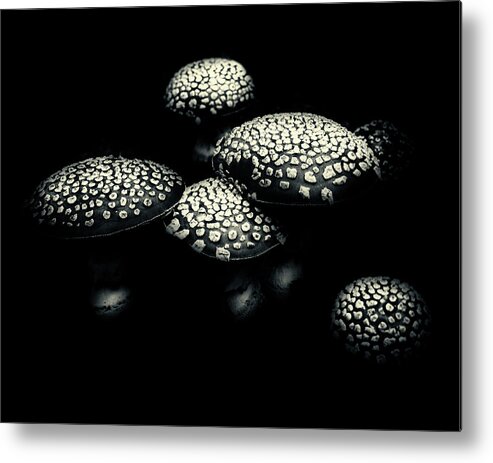 Mushroom Metal Print featuring the photograph Amanita by Richard George