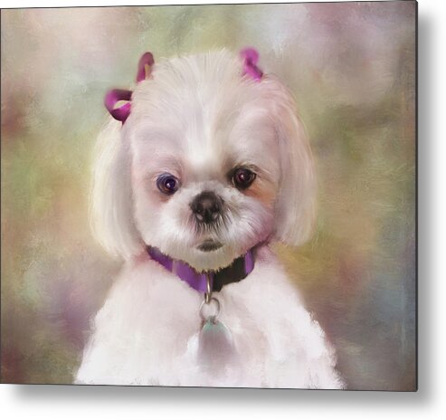 White Dogs Metal Print featuring the mixed media An Angel of Fluff by Colleen Taylor