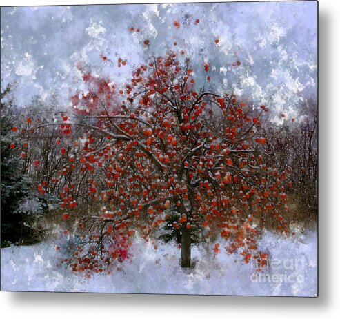 Apple Tree Metal Print featuring the photograph An Apple of a Day by Julie Lueders 