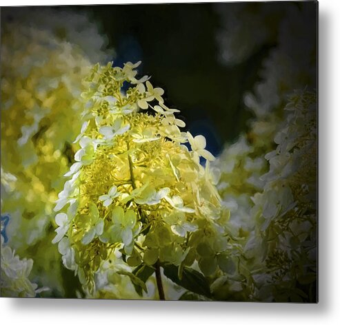 Artistic Metal Print featuring the photograph Artistic Glowing white by Leif Sohlman