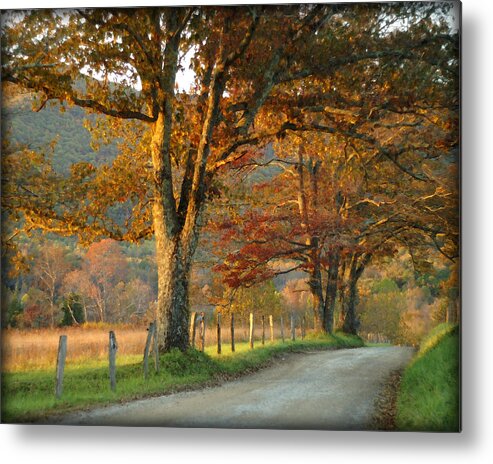 Autumn Metal Print featuring the photograph Autumn on Sparks Lane by TnBackroadsPhotos