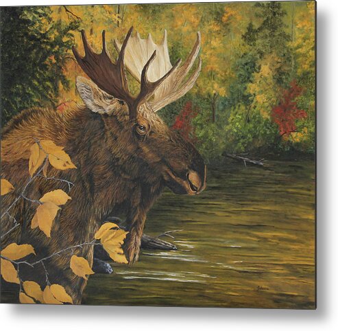 North American Wildlife Metal Print featuring the painting Backwater In Autumn - Moose by Johanna Lerwick