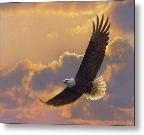 Bald Eagle Art Metal Print featuring the painting Bald Eagle - Soaring Spirit by Collin Bogle