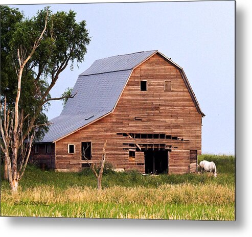 Barn Metal Print featuring the photograph Barn With White Horse by Don Durfee