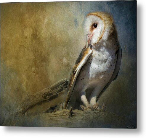 Alert Metal Print featuring the mixed media Bashful Barn Owl by Teresa Wilson