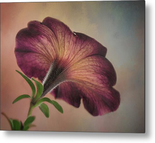 Bloom Metal Print featuring the photograph Behind the Scene by David and Carol Kelly