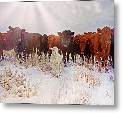 Cattle Metal Print featuring the photograph Behold by Amanda Smith
