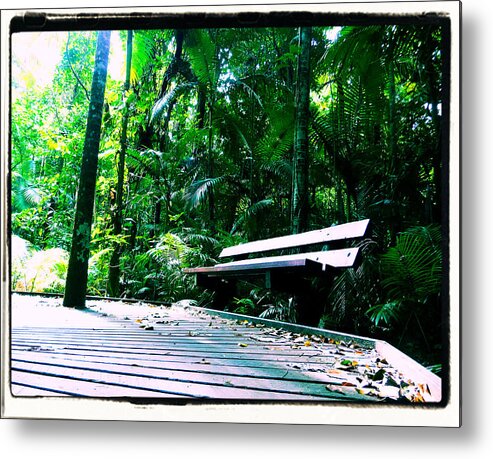 Bench. Nature Metal Print featuring the photograph Bench 2 by Michael Blaine