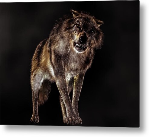 Big Bad Wolf Metal Print featuring the digital art Big Bad Wolf by Daniel Eskridge