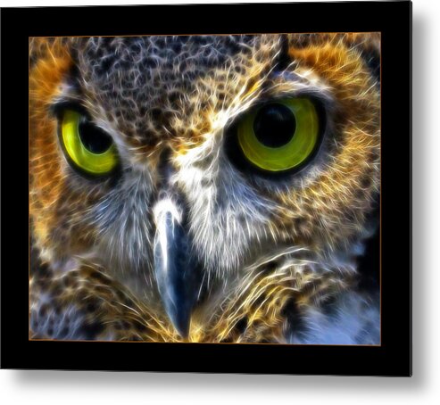 Great Metal Print featuring the photograph Big Eyes by Ricky Barnard