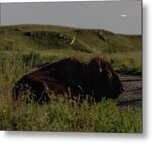 Kansas Metal Print featuring the photograph Bison by moonlight 03 by Rob Graham