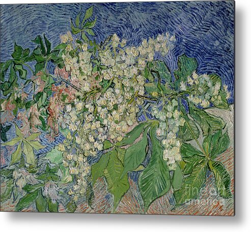 Blossoming Metal Print featuring the painting Blossoming Chestnut Branches by Vincent Van Gogh