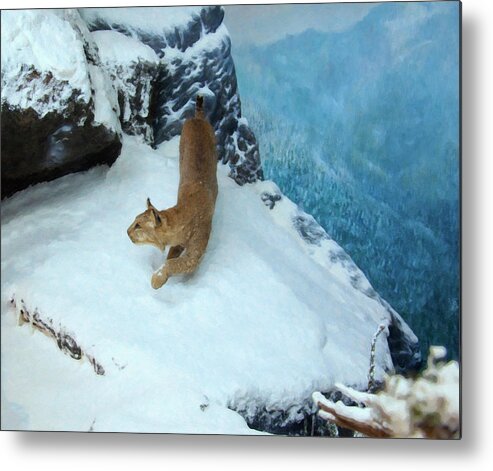 Bobcat Metal Print featuring the digital art Bobcat on a mountain ledge by Flees Photos