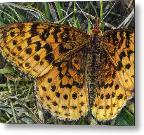Butterfly Metal Print featuring the painting Boloria Bellona by Shana Rowe Jackson
