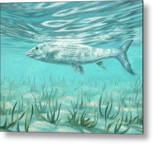Bone Fish Metal Print featuring the painting Bone Fish Study One by Guy Crittenden
