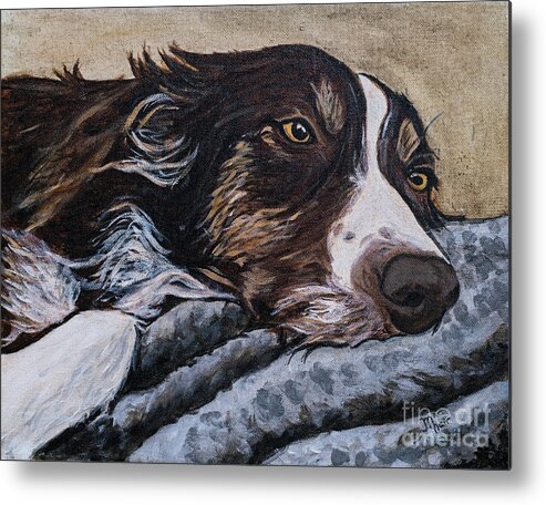 Border Collie Metal Print featuring the painting Border Collie Blues by Jackie MacNair