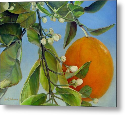 Floral Painting Metal Print featuring the painting Boutons d Oranges by Muriel Dolemieux