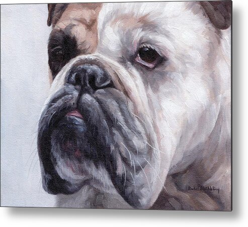 Dog Metal Print featuring the painting British Bulldog Painting by Rachel Stribbling