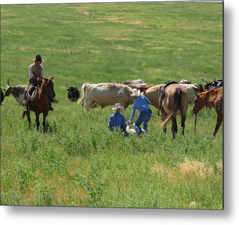 Calf Roping Metal Print featuring the photograph Calf Roping by Keith Stokes