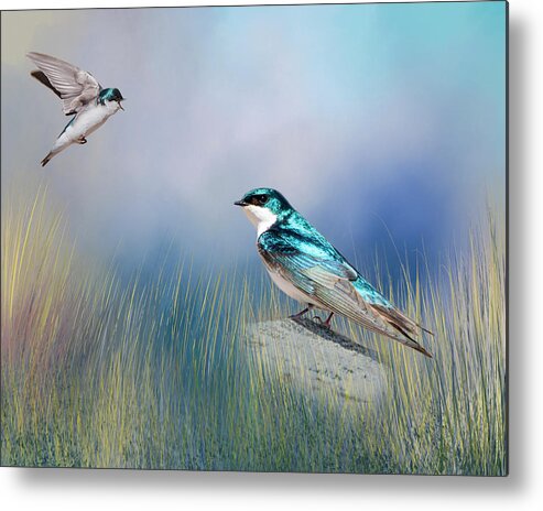Songbird Metal Print featuring the photograph Calling His Mate by Cathy Kovarik