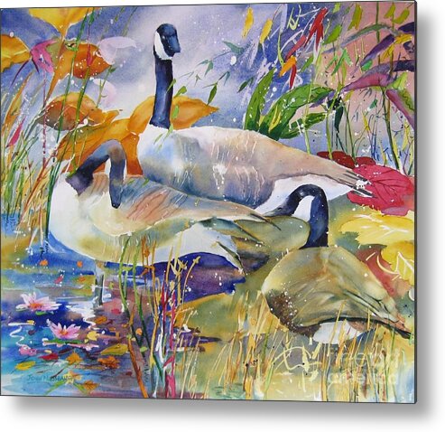 Watercolours Metal Print featuring the painting Canada Geese by John Nussbaum