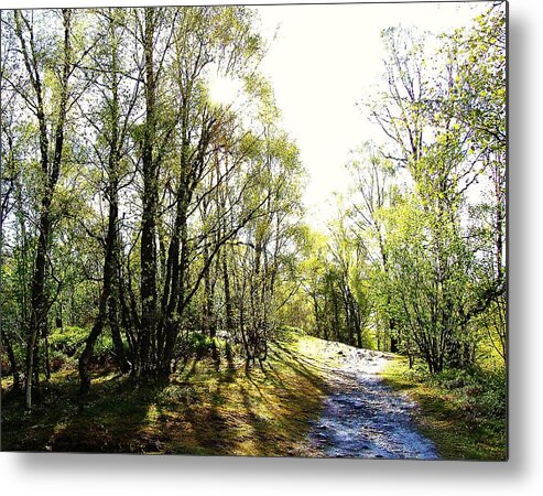 Trees Metal Print featuring the photograph Caress by HweeYen Ong