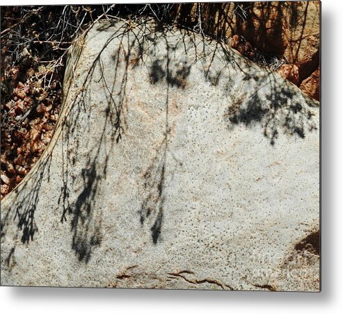 Shade Metal Print featuring the photograph Casting shade by Barbara Leigh Art