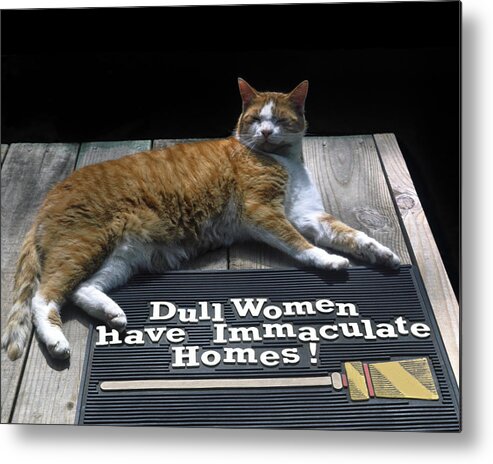 Cat Lying On Rubber Mat Metal Print featuring the photograph Cat on Dull Women Mat by Sally Weigand