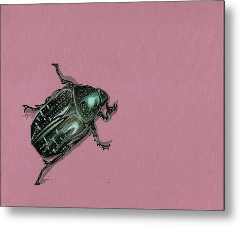 Beetle Metal Print featuring the painting Chaf Beetle by Jude Labuszewski