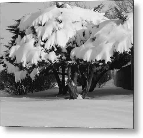 Landscape Metal Print featuring the photograph Chance of Snow by Nicholas J Mast