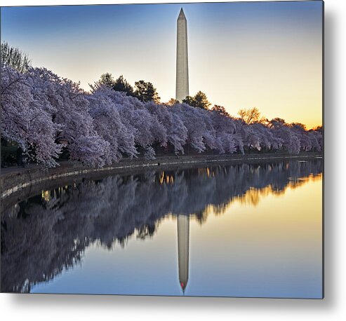 Washington Dc Sunrise Metal Print featuring the photograph Cherry Blossom Festival - Washington DC by Brendan Reals